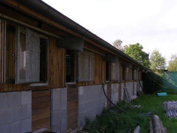 pferdeboxen1